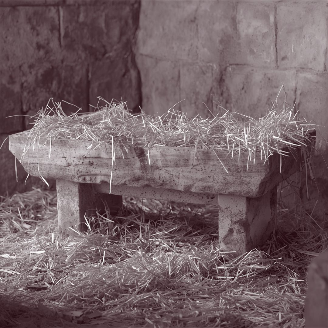 Anchored in Presence